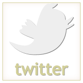 Присоединяйтесь к нам в Twitter twitter